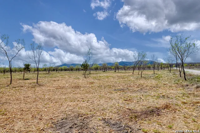 100 Whitetail Way Rio Frio, TX 78879
