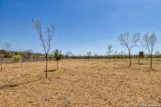 290 Whitetail Way Rio Frio, TX 78879