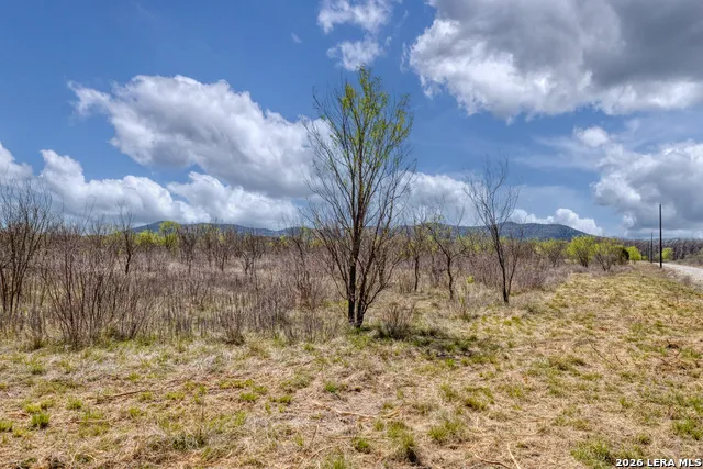 290 Whitetail Way Rio Frio, TX 78879