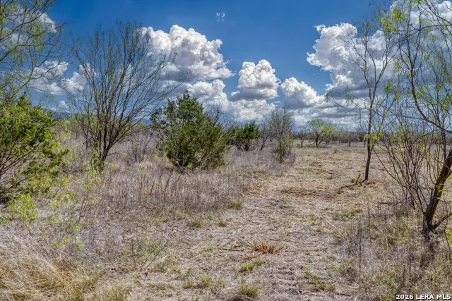 290 Whitetail Way Rio Frio, TX 78879