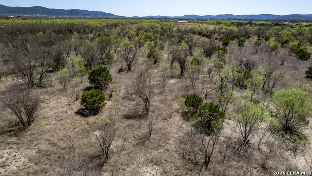 290 Whitetail Way Rio Frio, TX 78879