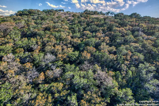 558 S Ridge Dr Concan, TX 78838