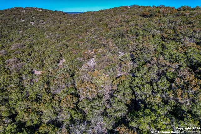 558 S Ridge Dr Concan, TX 78838