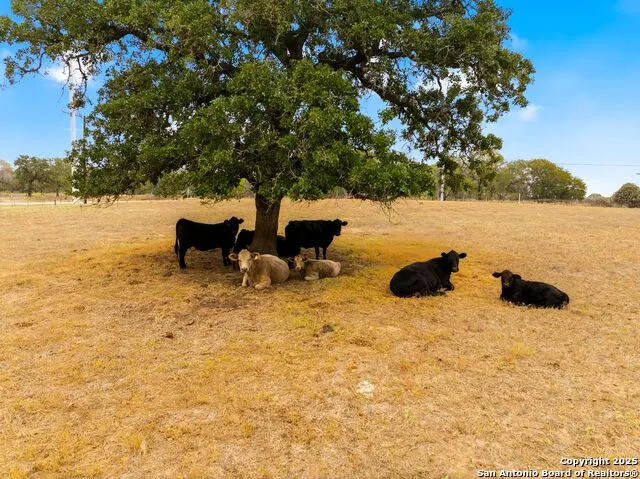 101 County Road 319 La Vernia, TX 78121