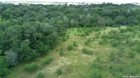 12250 Fm 3353 Tract B