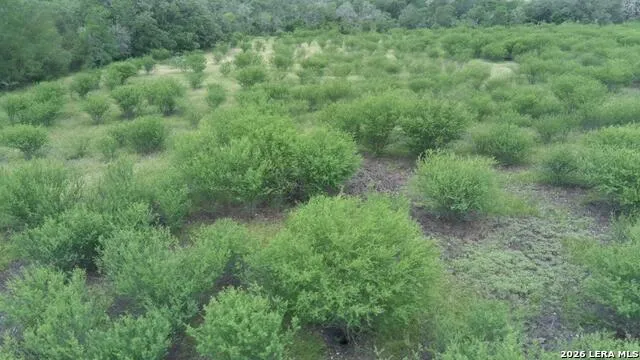 12250 Fm 3353 Tract B Kingsbury, TX 78155