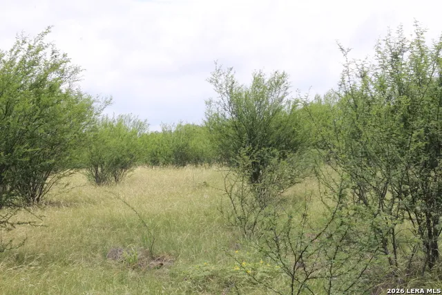 12250 Fm 3353 Tract B Kingsbury, TX 78155