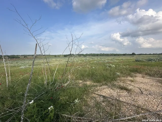 230 County Road 476 Stockdale, TX 78160
