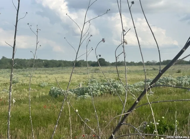 230 County Road 476 Stockdale, TX 78160