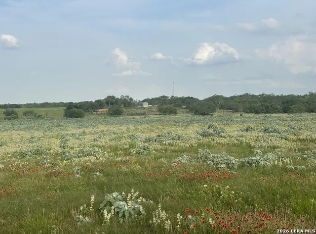 230 County Road 476 Stockdale, TX 78160