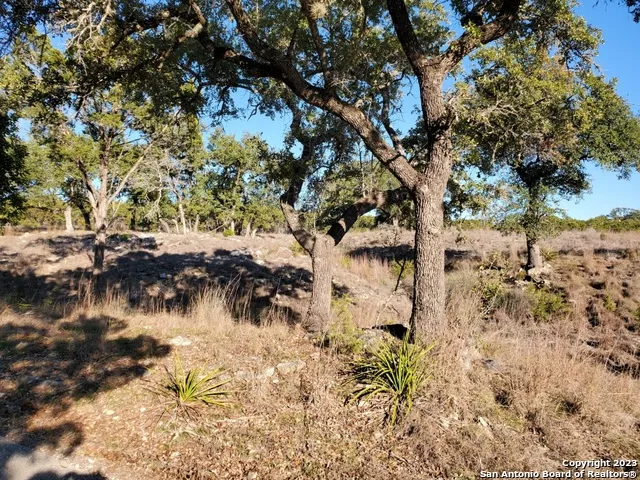 1660 MCIVER Canyon Lake, TX 78133