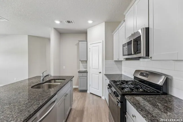 13131 THYME WAY St.Hedwig, TX 78152