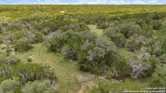 4603 county road 251 Hondo, TX 78861