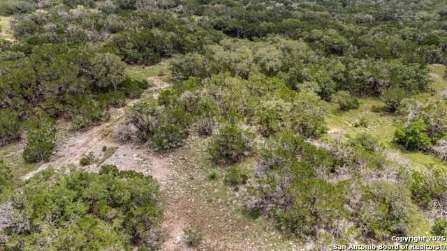4603 county road 251 Hondo, TX 78861