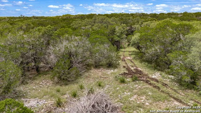 4603 county road 251 Hondo, TX 78861