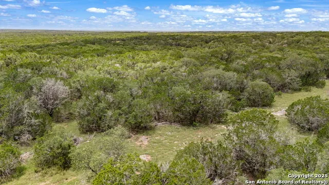 4603 county road 251 Hondo, TX 78861