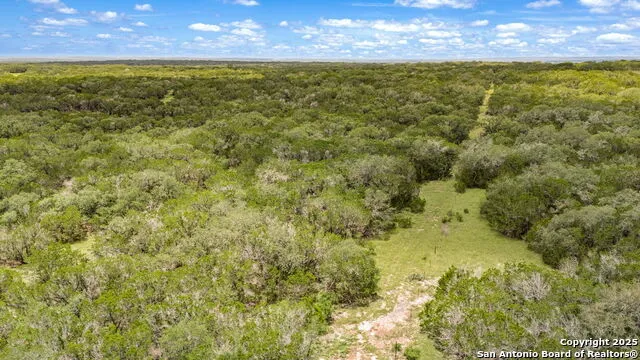 4603 county road 251 Hondo, TX 78861