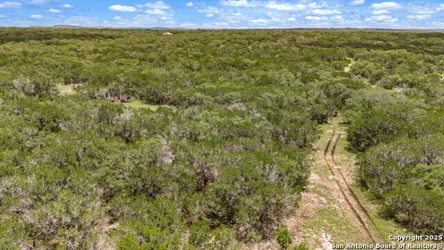 4603 county road 251 Hondo, TX 78861