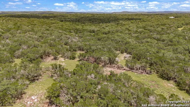 4603 county road 251 Hondo, TX 78861