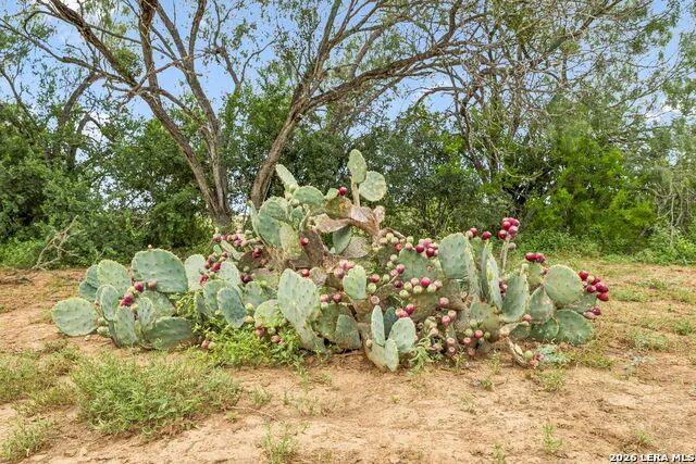 3285 Pittman San Antonio, TX 78152