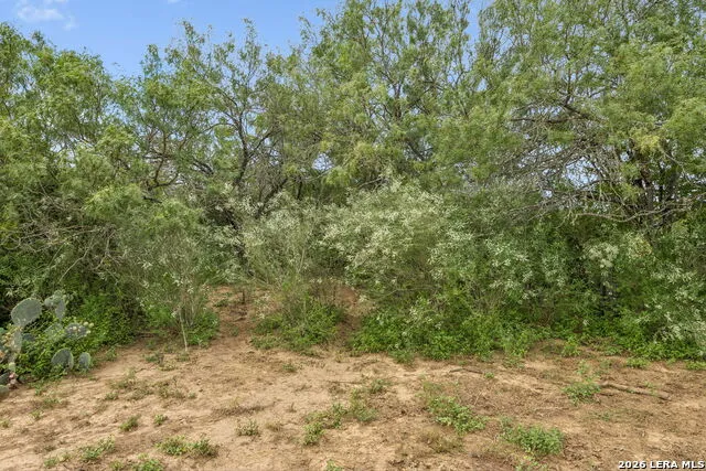 3285 Pittman San Antonio, TX 78152