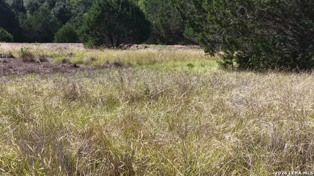 4113 TRAINER WUEST RD Blanco, TX 78606