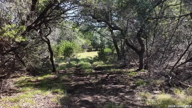 4113 TRAINER WUEST RD Blanco, TX 78606