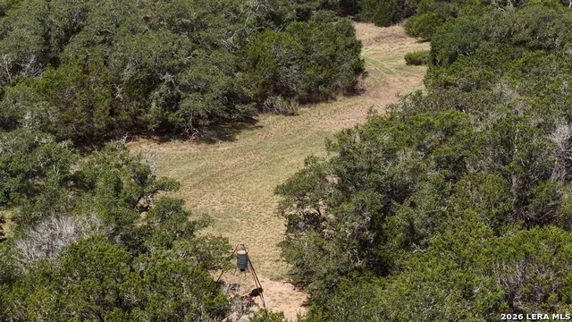 4113 TRAINER WUEST RD Blanco, TX 78606