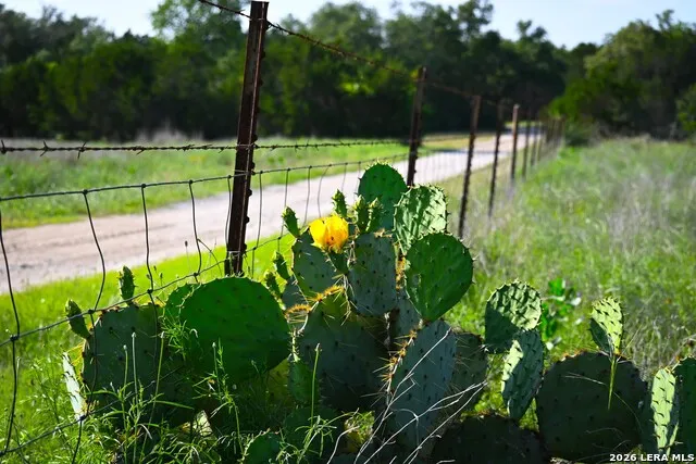 TBD FM 32 Blanco, TX 78606
