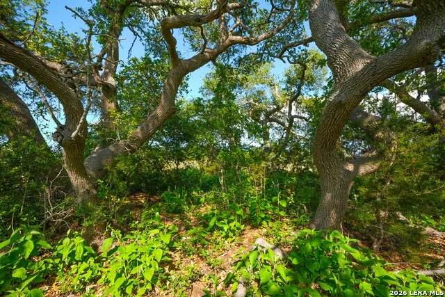 TBD FM 32 Blanco, TX 78606