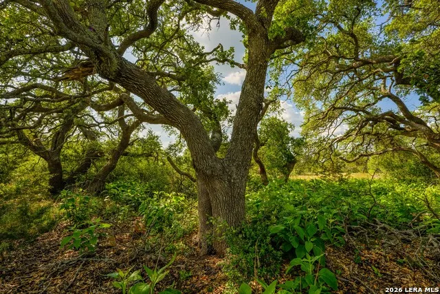 TBD FM 32 Blanco, TX 78606
