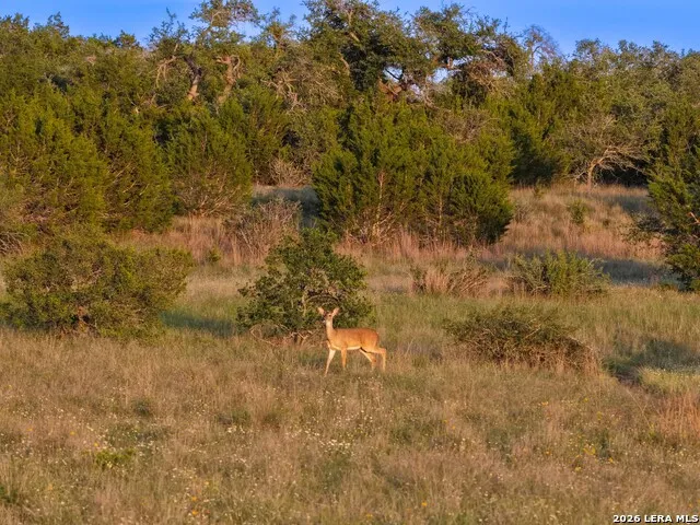 TBD FM 32 Blanco, TX 78606