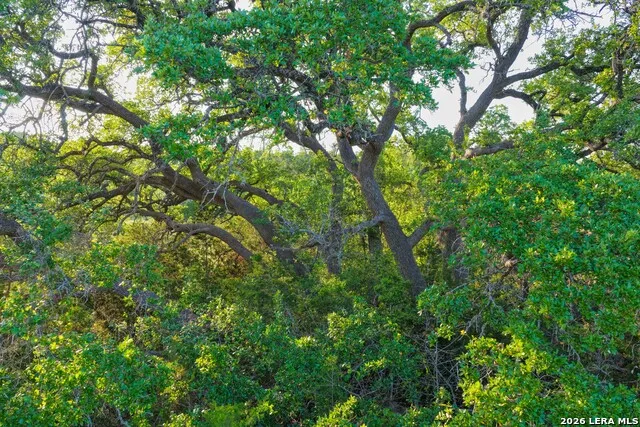 TBD FM 32 Blanco, TX 78606