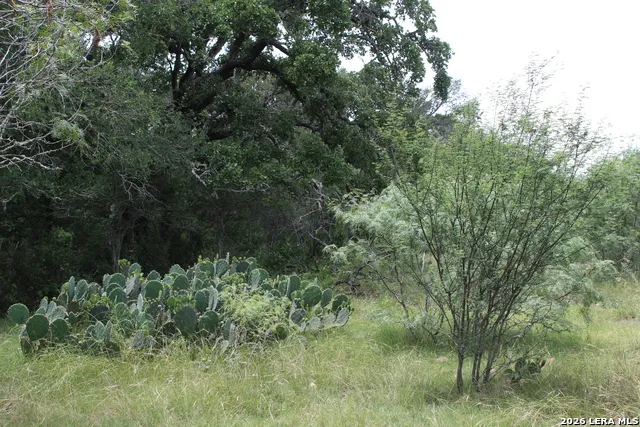 TBD FM 3353 Seguin, TX 78155