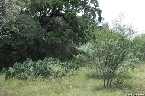 TBD FM 3353