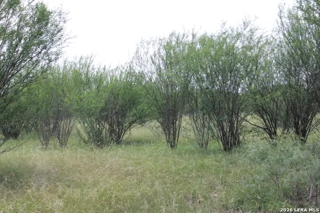 TBD FM 3353 Seguin, TX 78155