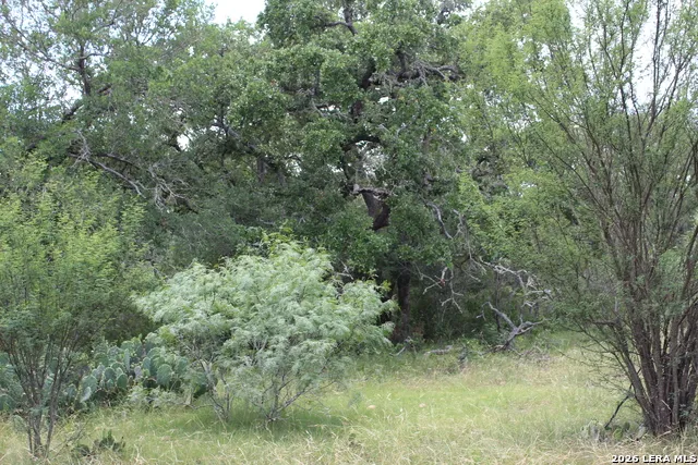 TBD FM 3353 Seguin, TX 78155