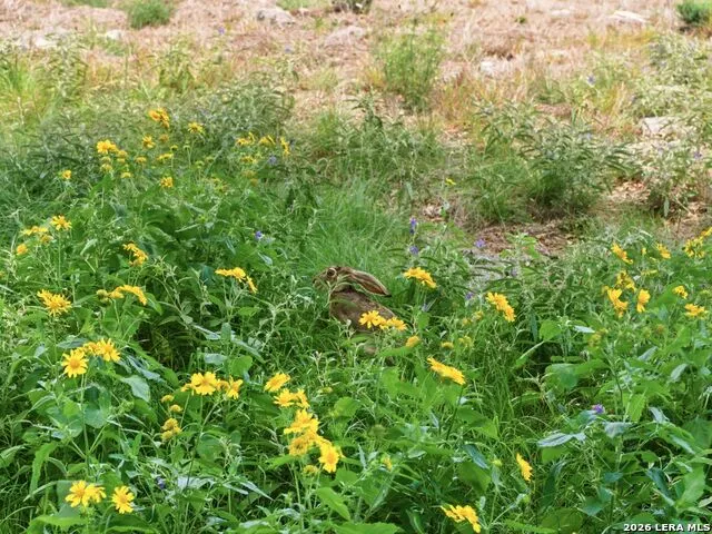 185 ACRES FM 3351 N Boerne, TX 78006