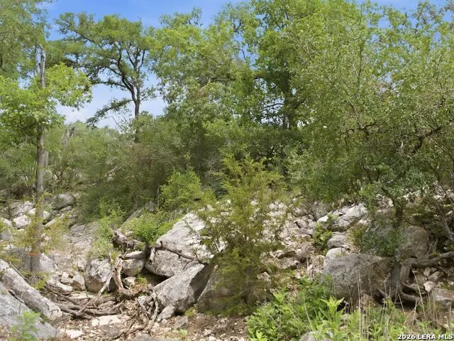 185 ACRES FM 3351 N Boerne, TX 78006