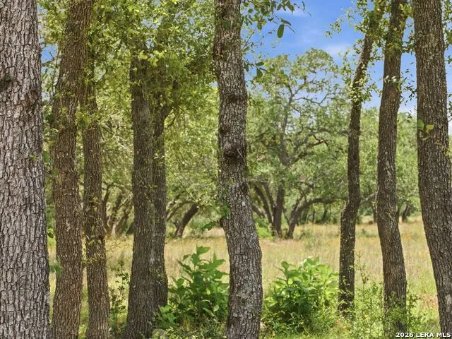 185 ACRES FM 3351 N Boerne, TX 78006