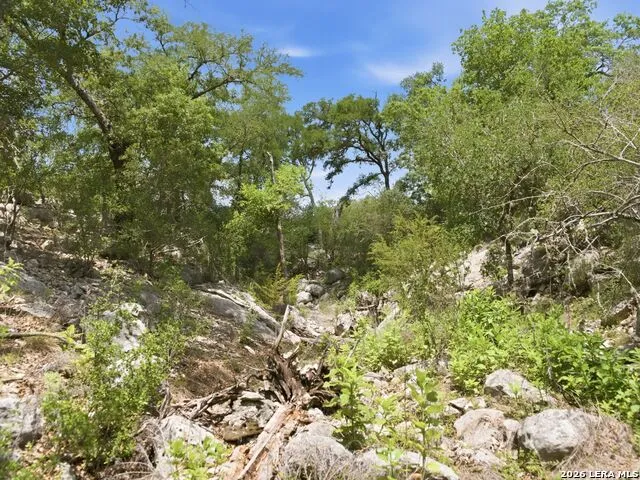 185 ACRES FM 3351 N Boerne, TX 78006