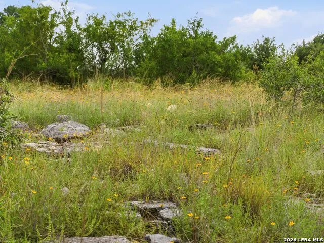 185 ACRES FM 3351 N Boerne, TX 78006