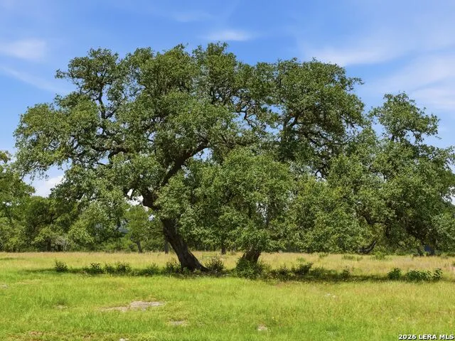 185 ACRES FM 3351 N Boerne, TX 78006