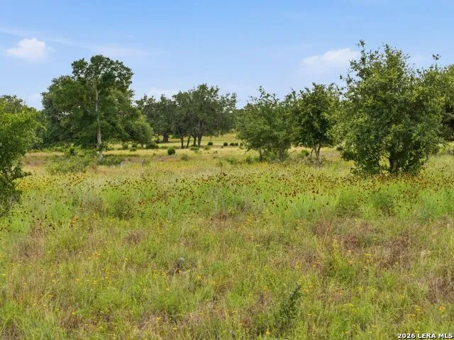 185 ACRES FM 3351 N Boerne, TX 78006
