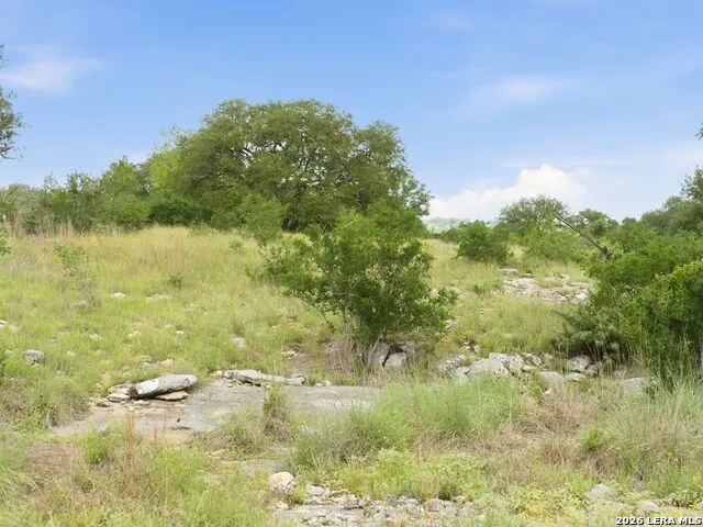 185 ACRES FM 3351 N Boerne, TX 78006