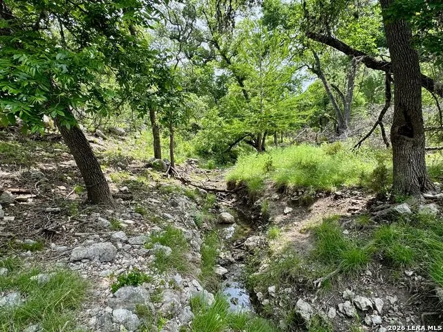 185 ACRES FM 3351 N Boerne, TX 78006