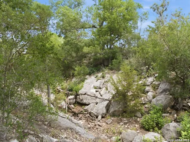 185 ACRES FM 3351 N Boerne, TX 78006