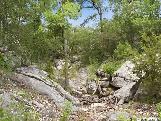 185 ACRES FM 3351 N Boerne, TX 78006