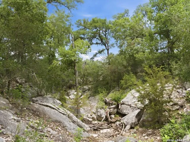 185 ACRES FM 3351 N Boerne, TX 78006