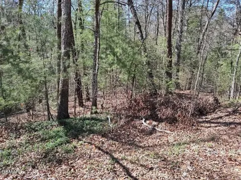 10 John Boy Trail